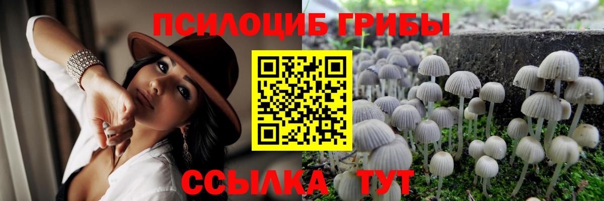 Галлюциногенные грибы Magic Shrooms Сорочинск